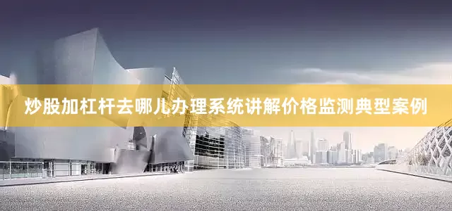 炒股加杠杆去哪儿办理系统讲解价格监测典型案例
