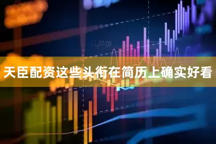 天臣配资这些头衔在简历上确实好看