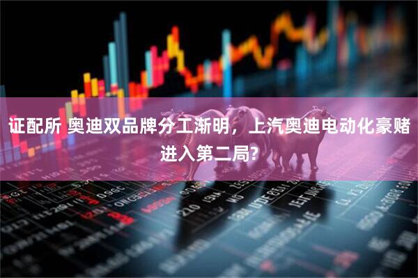证配所 奥迪双品牌分工渐明，上汽奥迪电动化豪赌进入第二局?